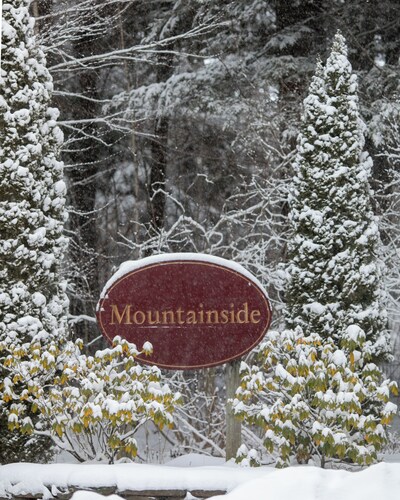 RENOVATED JIMINY PEAK MOUNTAINSIDE CONDO
Designer Interiors • Walk to Slopes