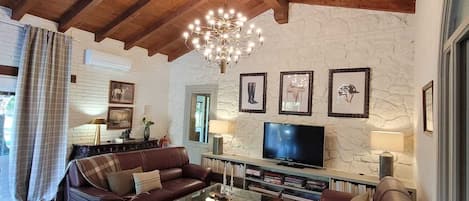 Una Smart TV, una chimenea, libros