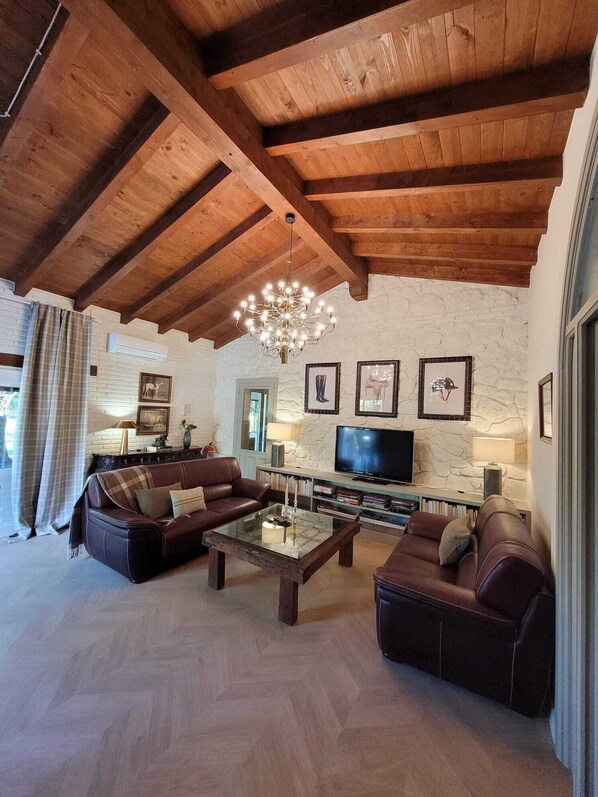 Smart TV, fireplace, books