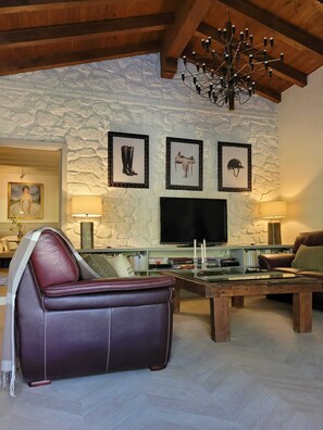 Smart TV, fireplace, books