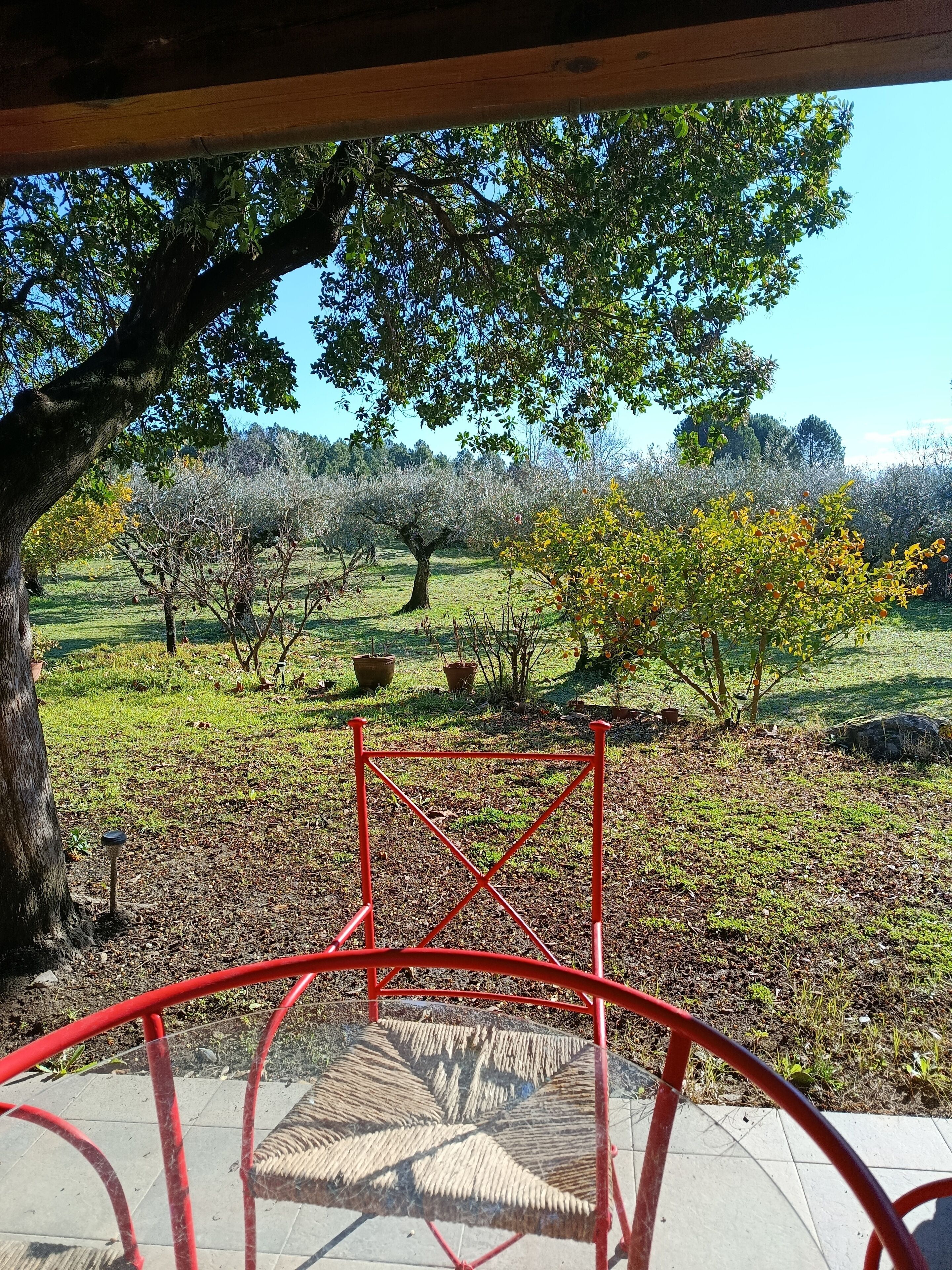 Jardines del alojamiento