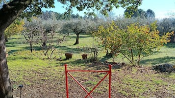 Jardines del alojamiento