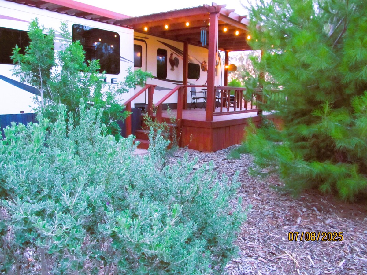 オーナーのプロフィール画像