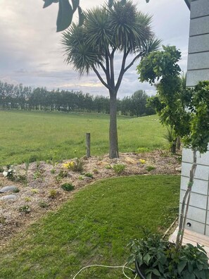 Àrea exterior de l'allotjament