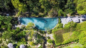 Une vue aérienne d’une piscine entourée d’une végétation luxuriante et ombragée par des arbres.