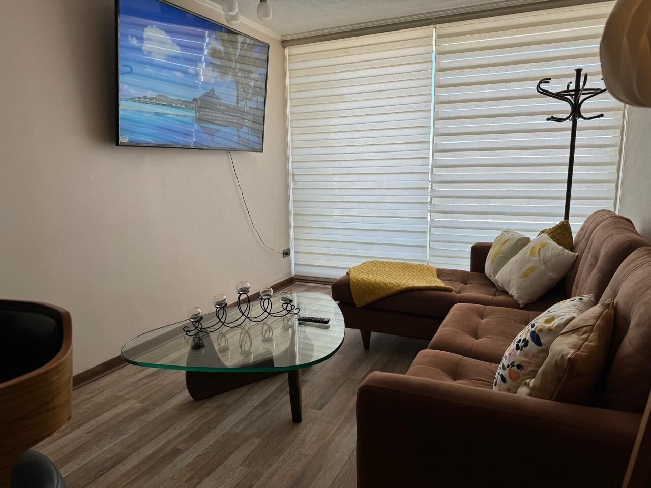 TV