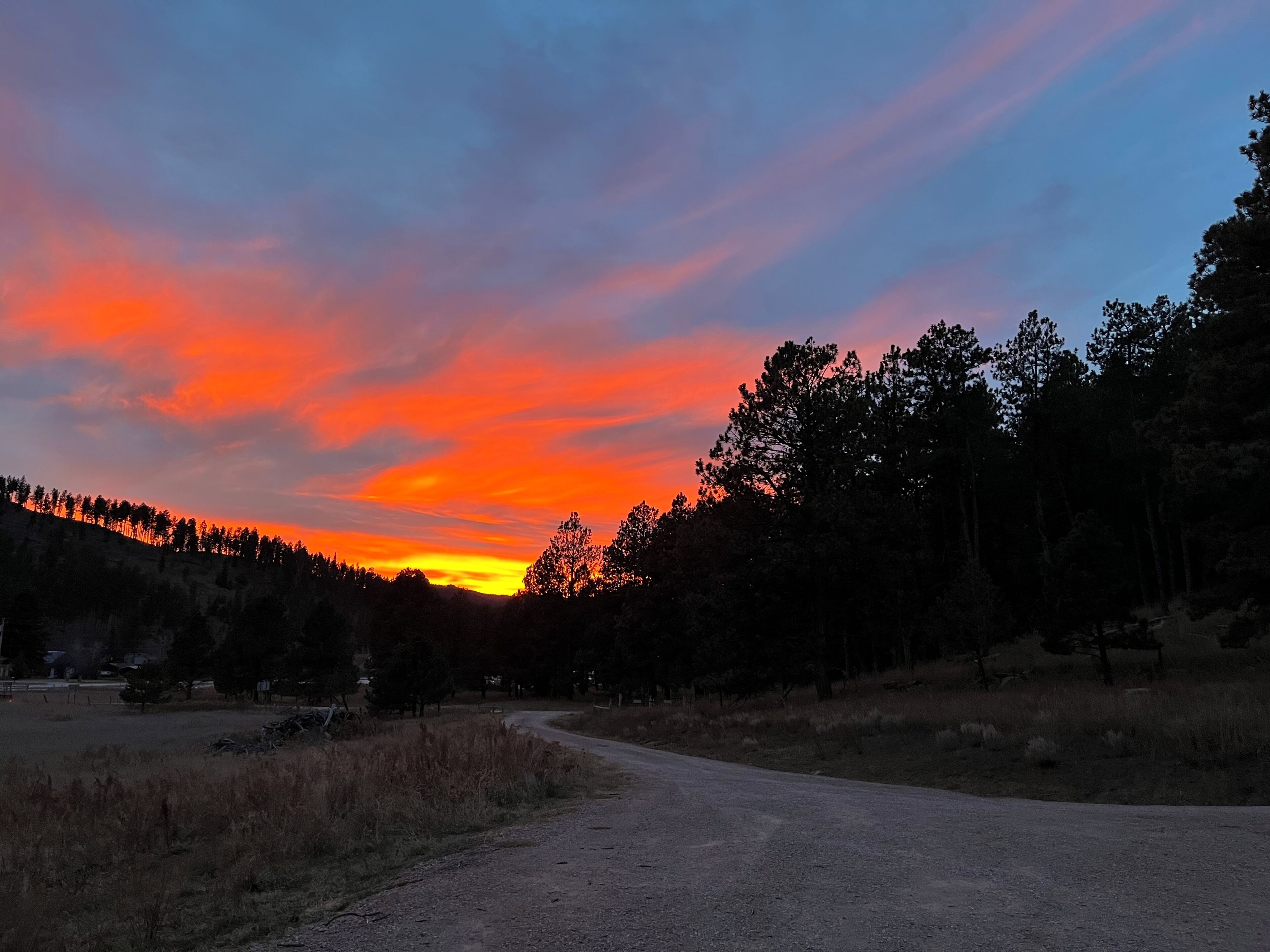 Un paisaje rural con un camino de tierra, árboles y un cielo al atardecer.