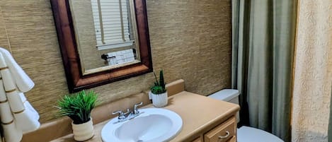 Secadora de cabello, toallas, papel de baño
