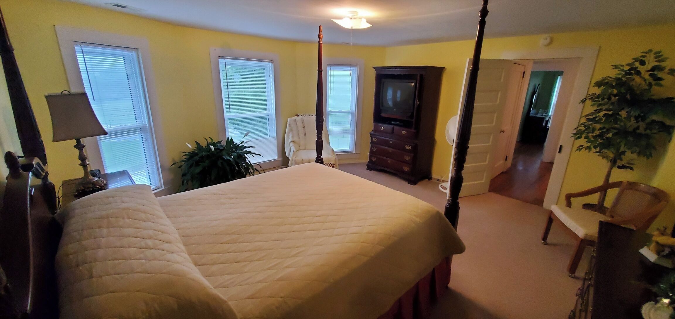 Wi-Fi, draps fournis