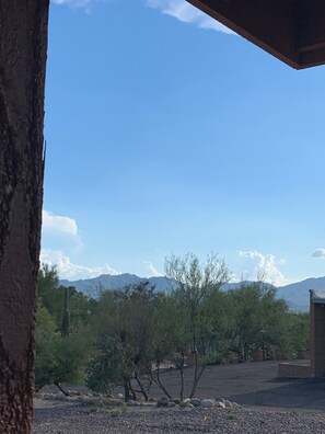 Property grounds - Cozy 1-bedroom bungalow in lovely Tucson. (Tucson)