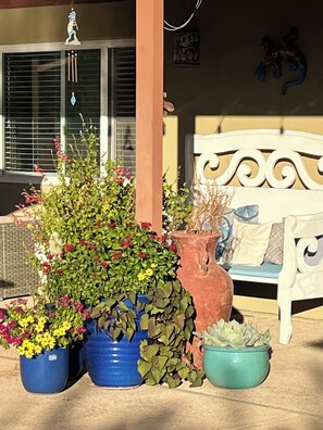 Terrace/patio - Cozy 1-bedroom bungalow in lovely Tucson. (Tucson)