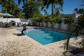Outdoor pool, a heated pool - Luxury Coastal Villa: Private Pool - Beach - Resort Style (Dorado)
