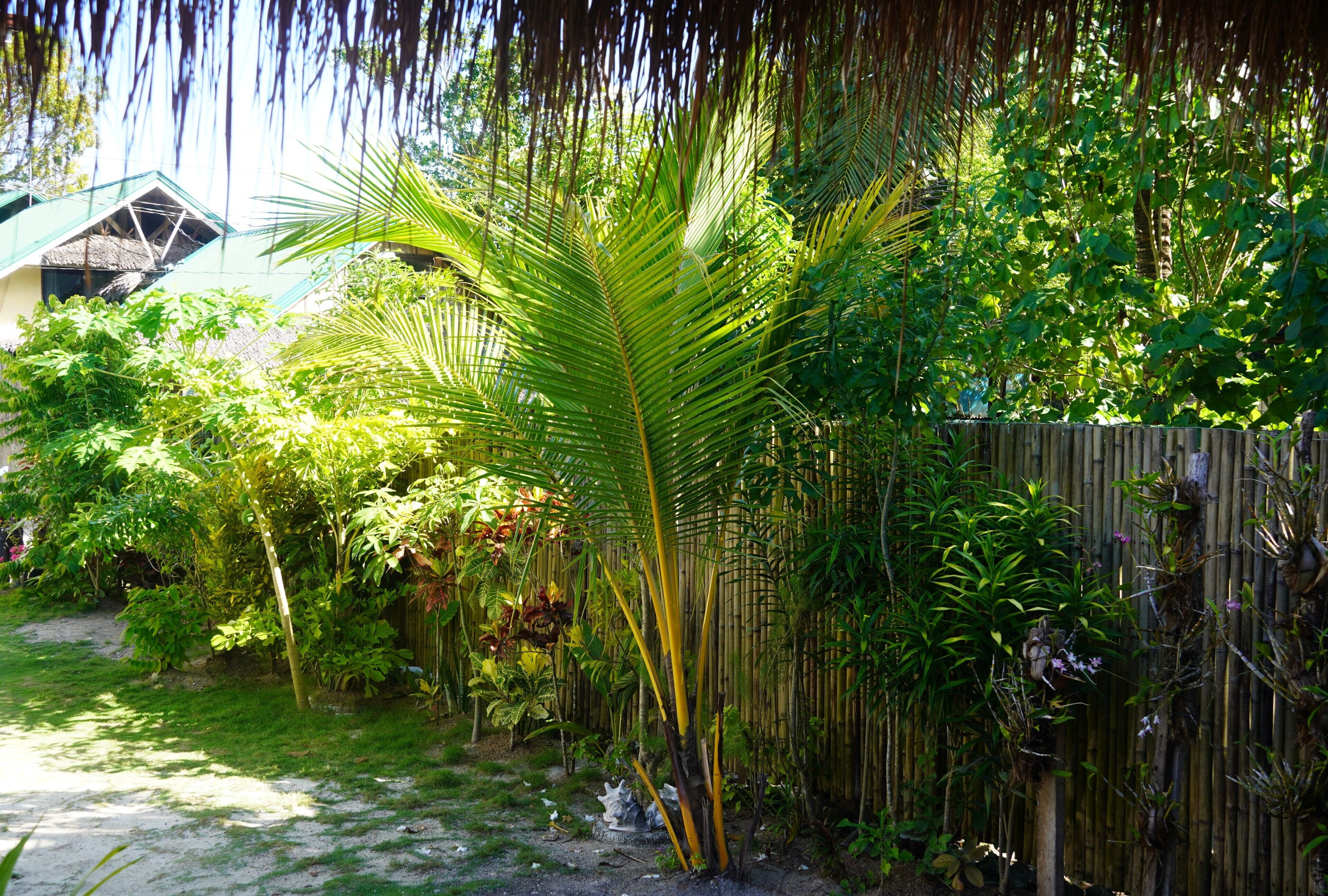 Garden view