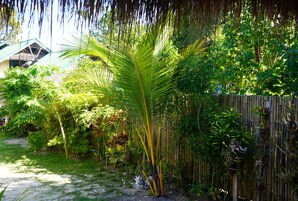 Vista al jardín