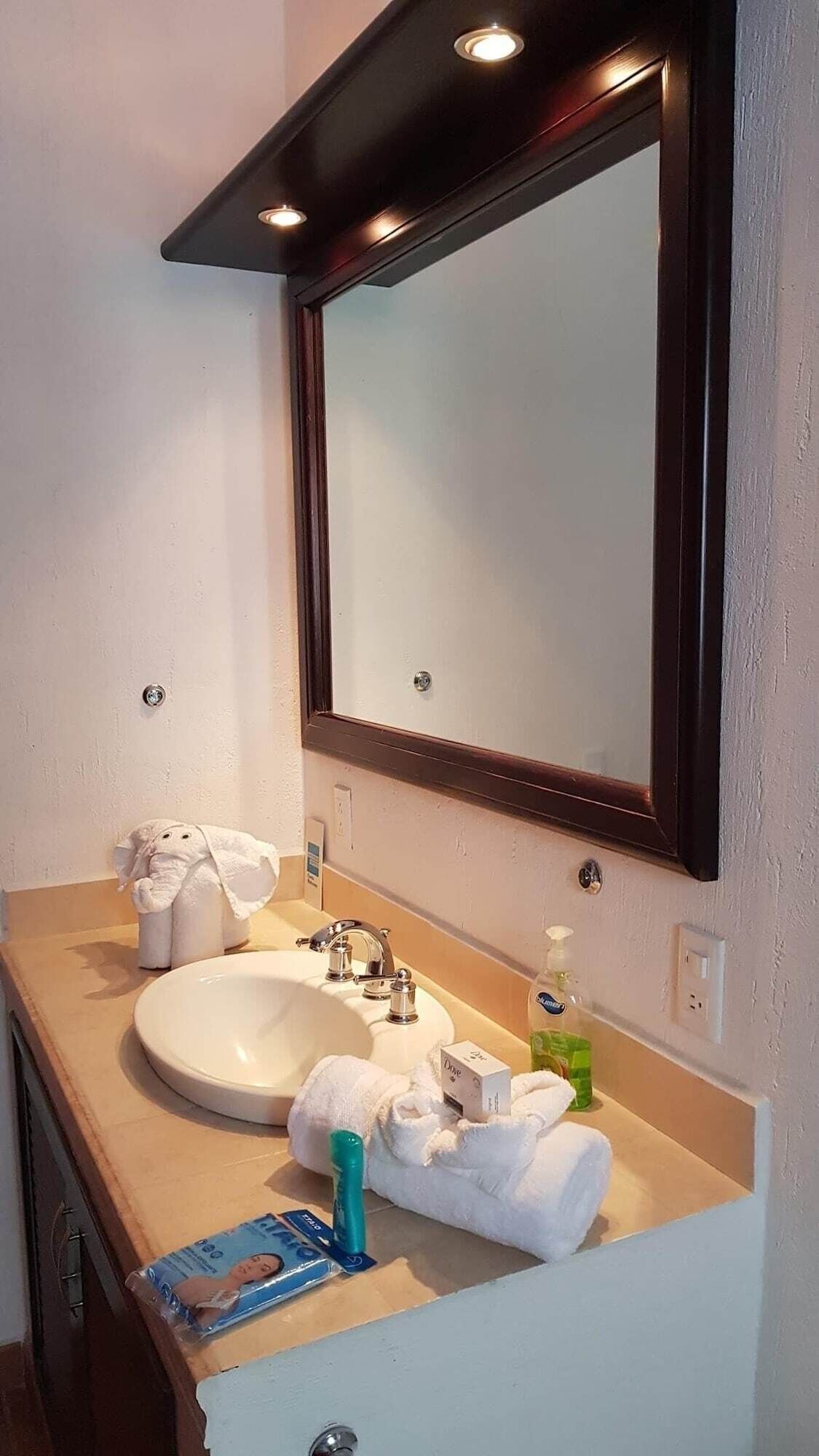 غرفة ديلوكس مزدوجة - منظر للحديقة | حمام | تجهيزات دش، مستلزمات مجانية للعناية الشخصية، مجففات شعر، مناشف