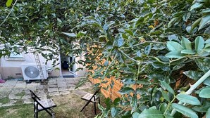 A garden with a bench, a wooden fence, and an air conditioning unit. - Garden Suite Paris Alfortville Metro - 10 min from Paris (Alfortville)