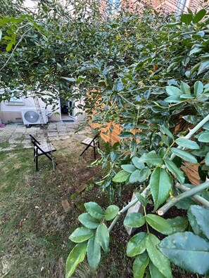 Property grounds - Garden Suite Paris Alfortville Metro - 10 min from Paris (Alfortville)