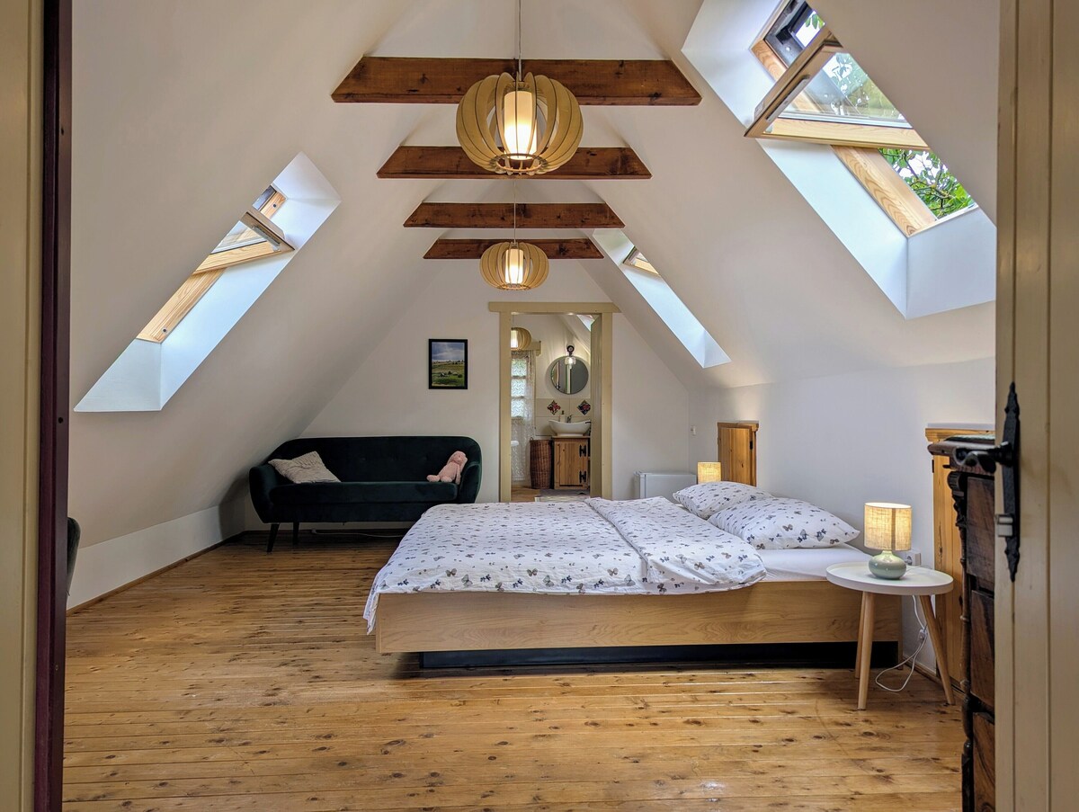 Bild für Gastgeberprofil