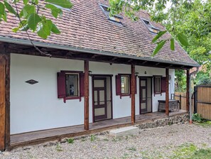 Exterior detail - Rustic village cottage in sought after salt region! (Ocna de Jos)