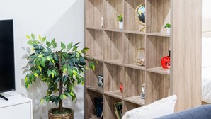 Ein Wohnzimmer mit einer Holzregal, einer Topfpflanze und einem Fernseher.