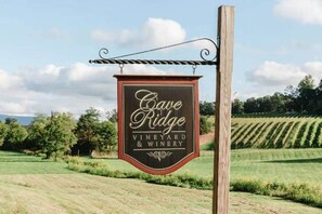 Miscellaneous - Shenandoah A-Frame w/ Mtn Views, near Bryce Resort (Shenandoah County)