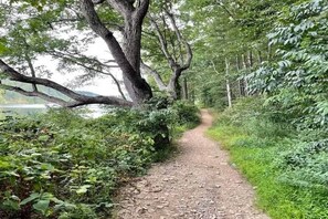 Miscellaneous - Shenandoah A-Frame w/ Mtn Views, near Bryce Resort (Shenandoah County)