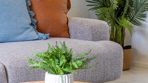 Una sala de estar con un sofá gris, una almohada azul y marrón, una planta verde grande y una caja de juego de bingo sobre una mesa de centro de madera.