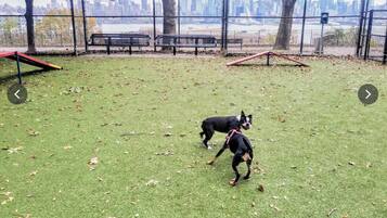 Enceinte de l’hébergement