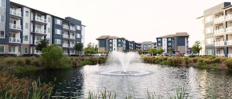 A residential area with modern apartment buildings, a central water feature, and surrounding vegetation.