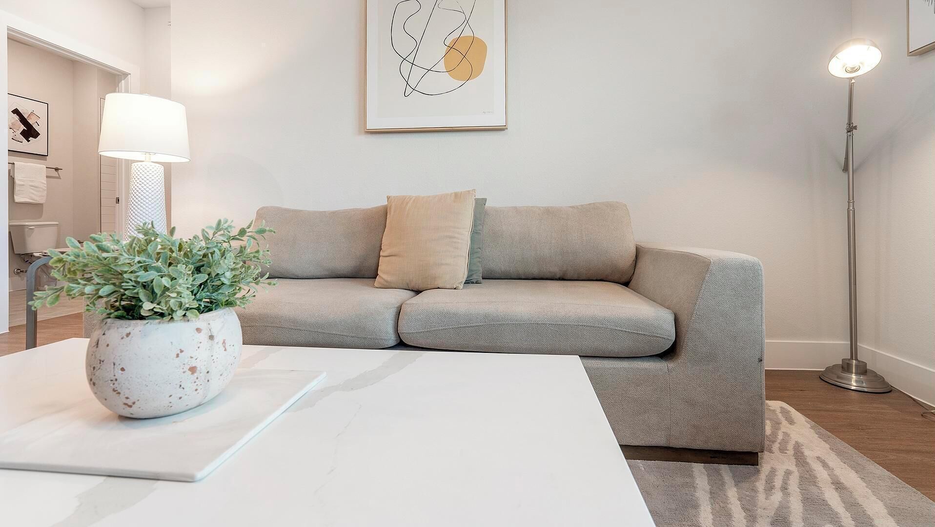 A modern living room with a grey sofa, a white coffee table, and a potted plant.