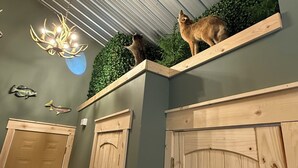 A room with a ceiling fan, a chandelier, and two wooden doors.