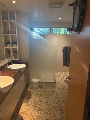 Secador de pelo, jabón y papel higiénico