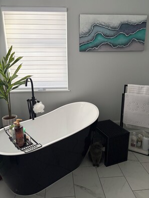 Hair dryer, towels, soap, toilet paper - Modern ranch house with fireplace and fire pit (Long Pond)