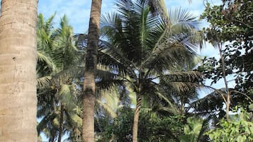 Overnatningsstedets facade