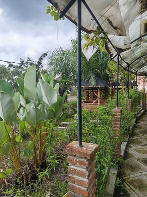 Property entrance - Tulip Guest House & Cafe (Batu)