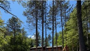 Property grounds - Lost on Purpose : Summer Memories Made Here | Cabin for 12 (Wetmore)