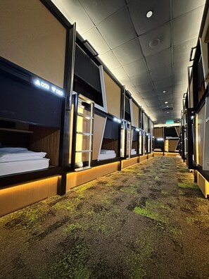 واي فاي مجانًا