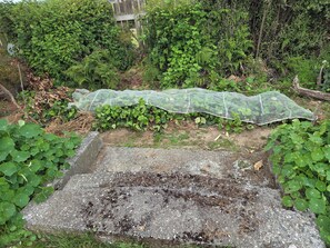 Property grounds - Inviting Tuatapere House: 10 Min to Waiau Mouth & Clifden Bridge, Close to Shops (Tuatapere)