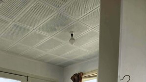 A room with a large window, a ceiling fan, and a carpeted floor.