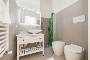 Regadera, secadora de cabello, bidet, toallas 