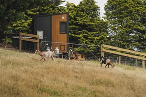 Un espace clos, avec un bâtiment et des arbres en arrière-plan.