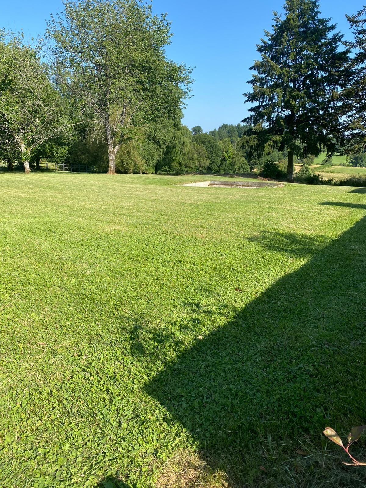 A grassy field with trees and a fence in the background.