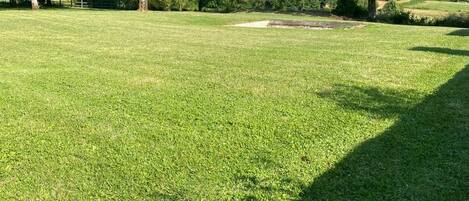 A grassy field with trees and a fence in the background.