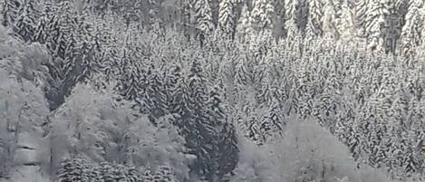 Un paysage enneigé avec une maison entourée d’arbres.