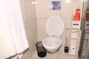 Shower, towels, soap, toilet paper