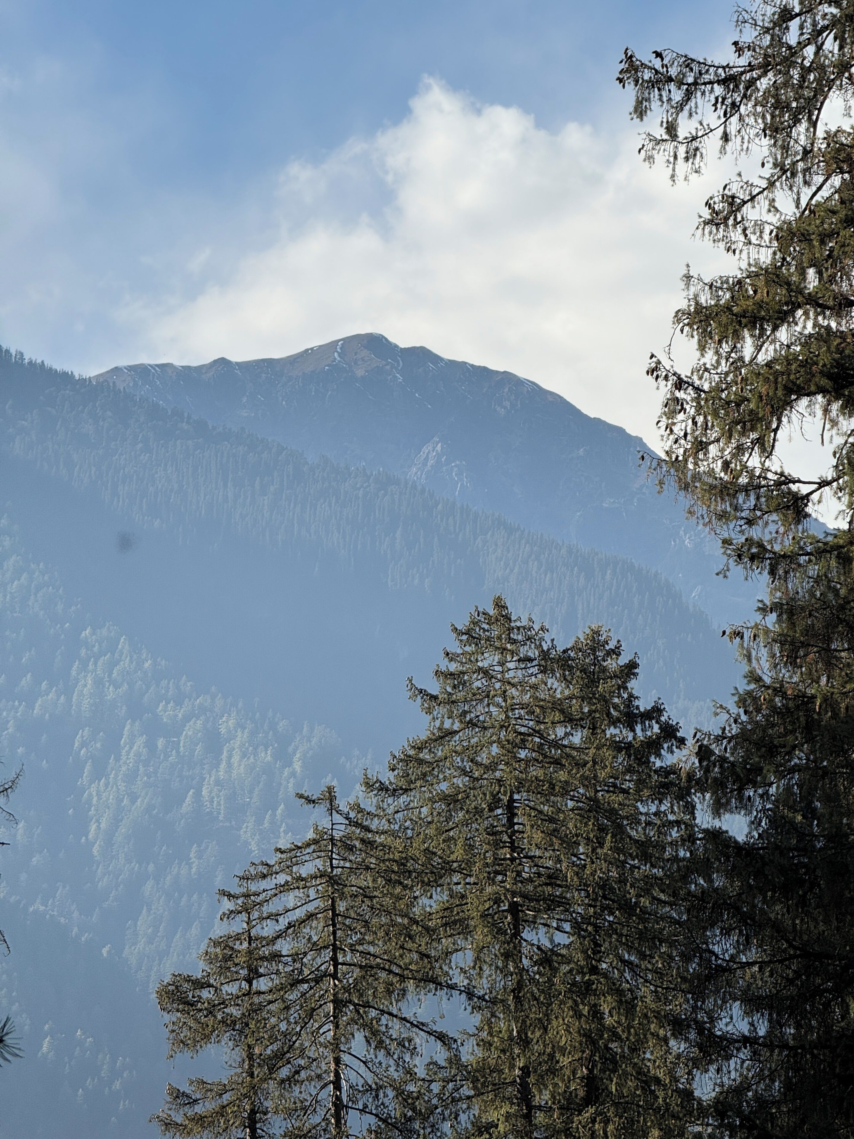 A mountain landscape with dense forest and a clear sky.