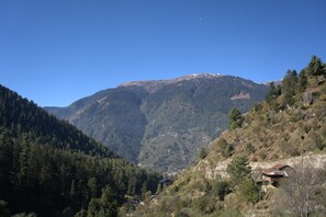 View from property - Manali Se  (Jagatsukh)