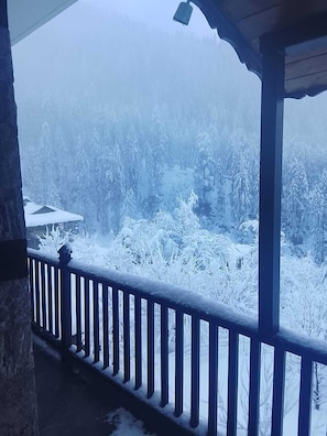 View from room - Manali Se - Your Home in the Pines (Jagatsukh)