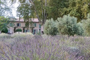 Exterior - Mas Le 7 12km from Saint Remy de Provence - 15km from Avignon - 2km from Saint Andiol (Saint-Andiol)
