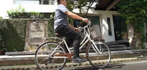 Property grounds - Sang Serene House (Chiang Mai)